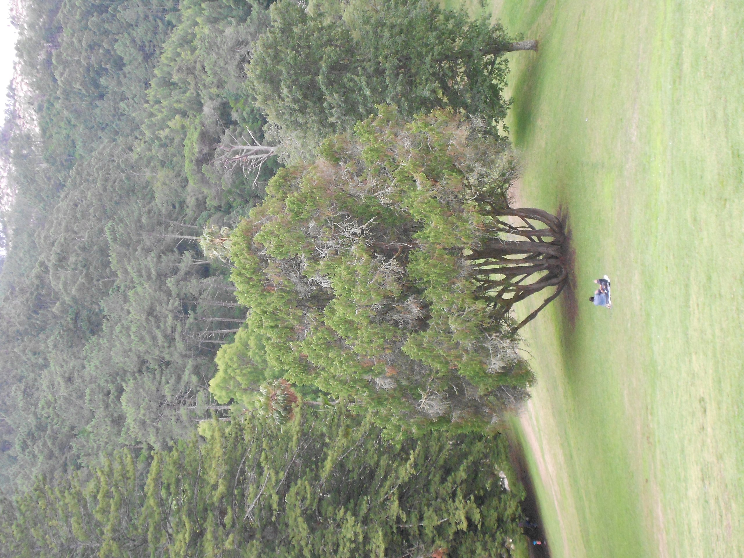 Viaje a Sintra Paisajes 070